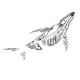 78PCS Motorized Mechanical Humpback Whale Metal Kit