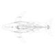 78PCS Motorized Mechanical Humpback Whale Metal Kit