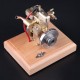 M12B 1.6cc Water-Cooled Four-Stroke Gasoline Engine Model