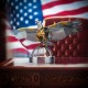 250PCS Mechanical Eagle Stainless-Steel Display Kit