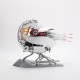 Motorized Mechanical Nautilus Metal Kit with LED Light