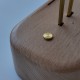 Handcrafted Wooden Sea Turtle Kinetic Model