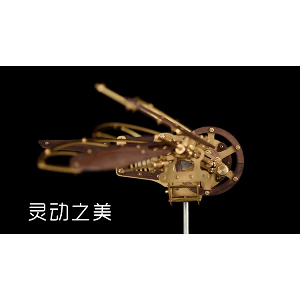 Brass and Walnut Dragonfly Kinetic Aircraft Kit