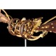 Brass and Walnut Dragonfly Kinetic Aircraft Kit