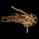 Brass and Walnut Dragonfly Kinetic Aircraft Kit