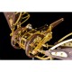 Brass and Walnut Dragonfly Kinetic Aircraft Kit