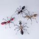 100PCS Articulated Metal Ant Model Kit