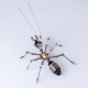 100PCS Articulated Metal Ant Model Kit