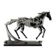165PCS Solar Mechanical Running Horse Kit