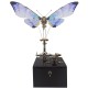 3D Mechanical Butterfly Metal Music Box Model Kit 3D Mechanical Butterfly Metal Music Box Model Kit