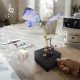 3D Mechanical Butterfly Metal Music Box Model Kit 3D Mechanical Butterfly Metal Music Box Model Kit