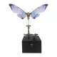 3D Mechanical Butterfly Metal Music Box Model Kit 3D Mechanical Butterfly Metal Music Box Model Kit