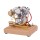 V-Twin Motorcycle Engine Models