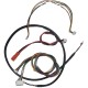 CISON MCU Ignition & Cooling Options for LS-52 V8 CISON MCU Ignition & Cooling Options for LS-52 V8
