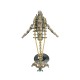 700-Piece Mechanical Dolphin Steampunk Metal Model Kit