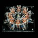 Eight-Coil Brushless DC Disc Motor Demonstration Model