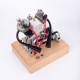 MUSA Hoglet V-Twin Kick-Start Gasoline Engine Model MUSA Hoglet V-Twin Kick-Start Gasoline Engine Model