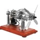 16-Cylinder Double-Tank Stirling Engine Model 16-Cylinder Double-Tank Stirling Engine Model