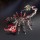 Mechanical Creature & Robot Kits