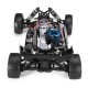VRX RH1006 1:10 Nitro 4WD RC Buggy