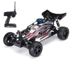 VRX RH1006 1:10 Nitro 4WD RC Buggy