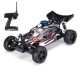 VRX RH1006 1:10 Nitro 4WD RC Buggy