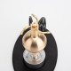 Hero of Alexandria Aeolipile Steam Ball Model Kit