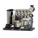 TECHING DM115 1:10 L4 Diesel Engine Model Kit 300+PCS